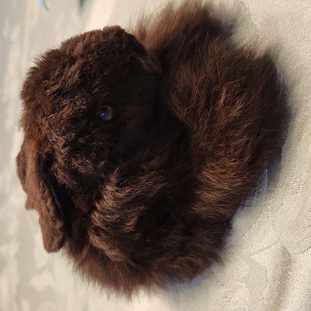 Brown Rabbit Plush Doll (small) - Picture 1 of 2